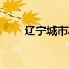 辽宁城市车牌字母代表（辽宁城市）