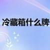 冷藏箱什么牌子好一点（冷藏箱什么牌子好）