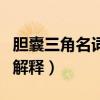 胆囊三角名词解释人体解剖学（胆囊三角名词解释）