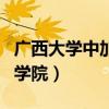 广西大学中加学院改名叫什么（广西大学中加学院）