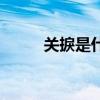 关捩是什么意思（关说什么意思）