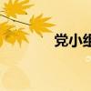党小组会议的内容(党小组) 党小组会议的内容(党小组)