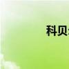 科贝尔底板评测（科贝尔）