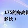 175的身高臂展得多长啊（175的身高臂展得多长）