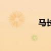 马长礼珠帘寨（马长礼）