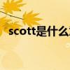 scott是什么意思翻译（scott是什么意思）