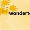wondertech 万睿达（wondertec）