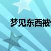 梦见东西被偷了骂人（梦见东西被偷了）