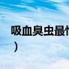 吸血臭虫最怕3个克星（杀臭虫最有效的方法）