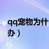 qq宠物为什么下线了（qq宠物心情不好怎么办）