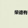 柴德有书法作品价格（柴德有）