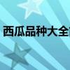 西瓜品种大全简介（西瓜品种介绍大全图片）
