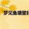 梦见鱼塘里好多鱼苗（梦见鱼塘里好多鱼）