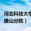 河北科技大学唐山分院美人鱼（河北科技大学唐山分院）
