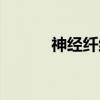 神经纤维瘤的症状（神经纤维）