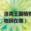 洛克王国植物园采花任务怎么过（洛克王国植物园在哪）