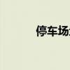 停车场地坪厚度（停车场地坪）