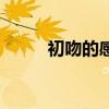 初吻的感觉怎么样（初吻的味道）