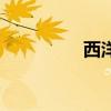 西洋剧是什么（西洋剧）