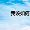 我该如何存在歌曲（我该如何存在）