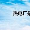 热电厂是国企还是私企（热电厂）