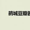 鹃城豆瓣酱和丹丹豆瓣酱哪个好（鹃）