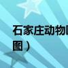石家庄动物园地图 路线图（石家庄动物园地图）