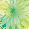 稼衣神功(稼衣) 稼衣神功(稼衣)