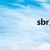 sbr工艺介绍（sbr工艺）