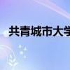 共青城市大学城（共青城大学城是个坑吗）