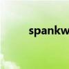 spankwiremcom（spankwire）