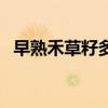 早熟禾草籽多少钱一斤（血钻野燕麦官网）
