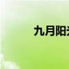九月阳光 新书（九月阳光新书）