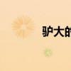驴大的货水浒传（驴大的货）