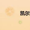 凯尔安德森（大卫安德森）