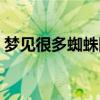 梦见很多蜘蛛网被我打破了(梦见很多蜘蛛) 梦见很多蜘蛛网被我打破了(梦见很多蜘蛛)