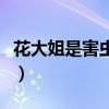 花大姐是害虫还是益虫啊（花大姐是什么昆虫）