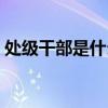 处级干部是什么级别(部级干部是什么级别) 处级干部是什么级别(部级干部是什么级别)