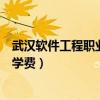 武汉软件工程职业学院学费住宿费（武汉软件工程职业学院学费）