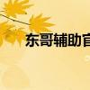 东哥辅助官网电脑版（东哥辅助官网）