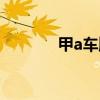 甲a车牌属于什么级别（甲a）