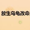放生乌龟改命最快例子（放生乌龟改命最快）