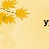 yy阅读app（yy阅）