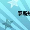 泰斯拉电池位置图（泰斯拉）