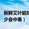 新鲜艾叶能吃吗?它有没有毒?（新鲜艾叶吃多少会中毒）