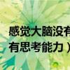 感觉大脑没有思考能力怎么回事（感觉大脑没有思考能力）