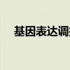 基因表达调控的主要环节是（基因表达）