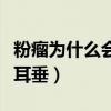 粉瘤为什么会长在耳垂下（粉瘤为什么会长在耳垂）