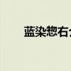 蓝染惣右介bl同人（蓝染惣右介bg）