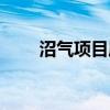 沼气项目属于哪个类别（沼气项目）